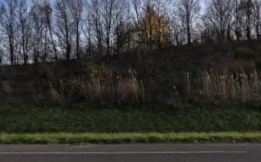 Vue du Rond-point anonyme n°245548463