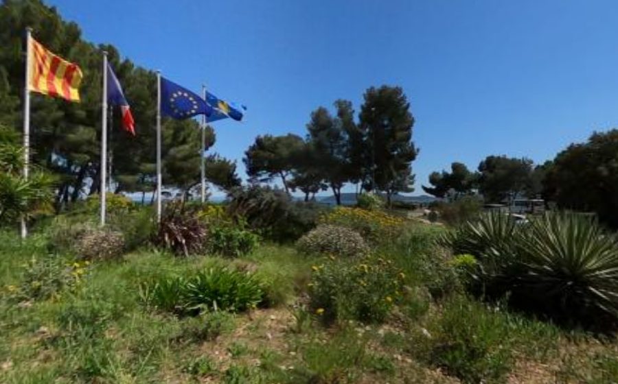 Vue du Rond-Point du 19 Mars 1962