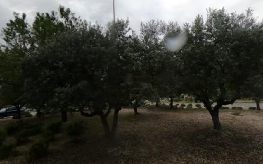 Vue du Rond-point anonyme n°24942152