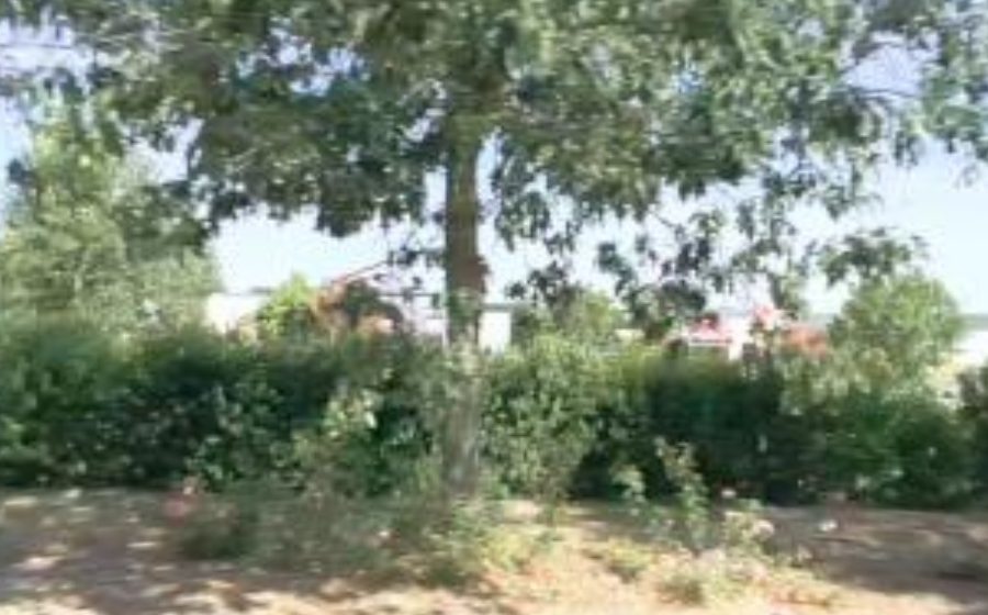 Vue du Rond-point anonyme n°252720997