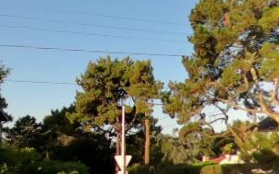Vue du Rond-point anonyme n°25417358