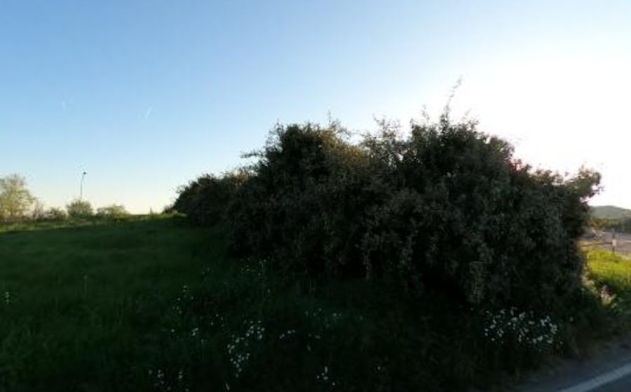 Vue du Rond-point anonyme n°25502668