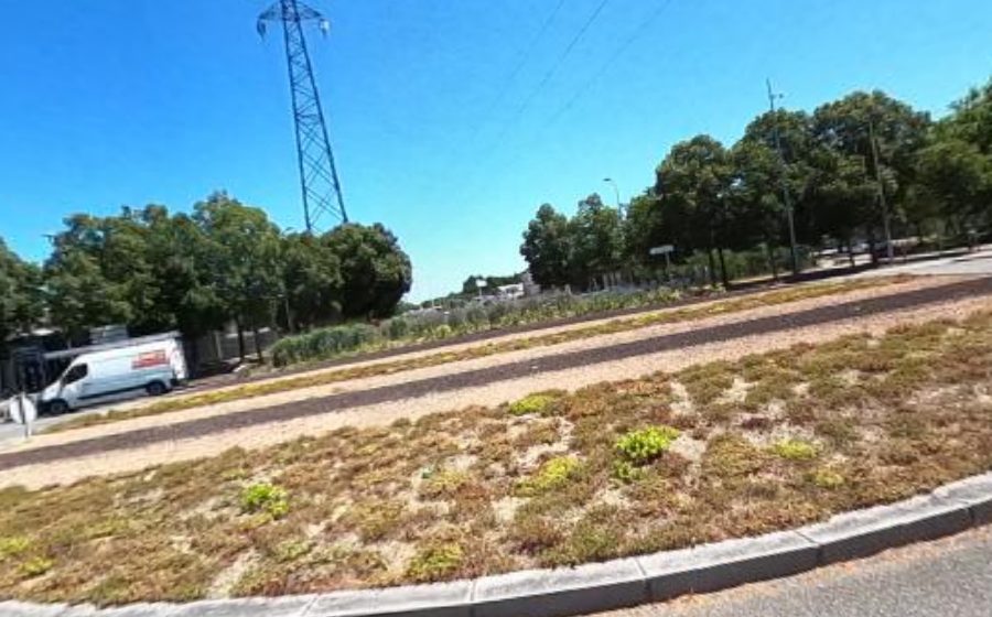 Vue du Rond-point anonyme n°25780231