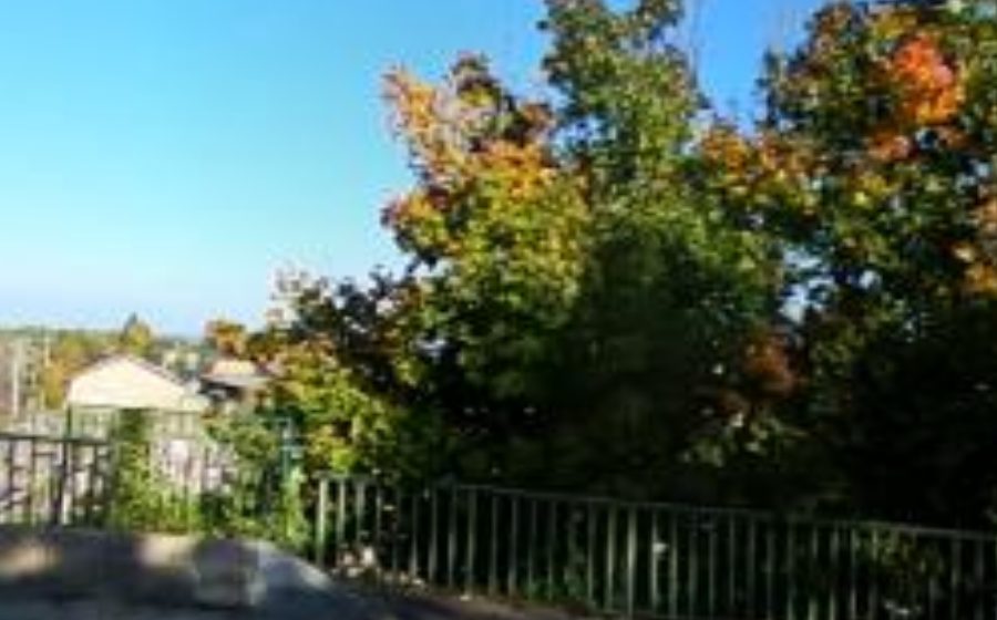 Vue du Rond-point anonyme n°262565505