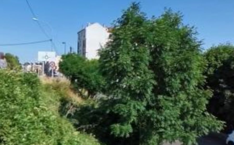 Vue du Rond-Point des Français Libres