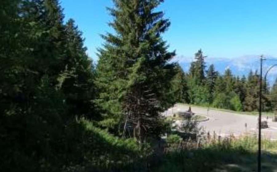 Vue du Rond-point anonyme n°266301468
