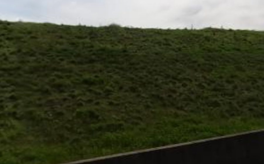 Vue du Rond-Point du Docteur Raymond Simorre