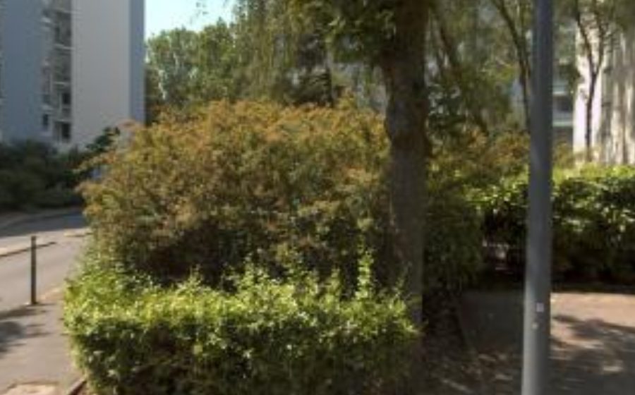 Vue du Rue du Jardin de l'Arc