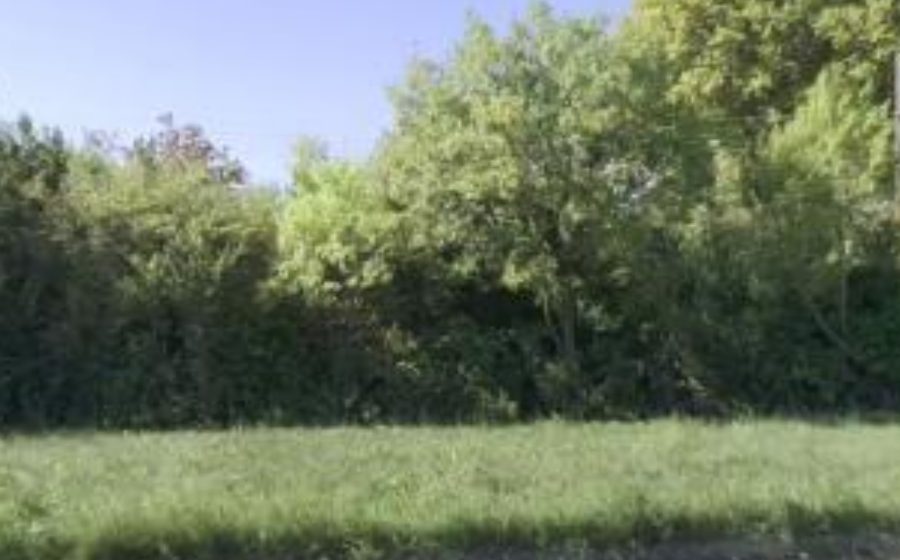 Vue du Rond-point anonyme n°27794947