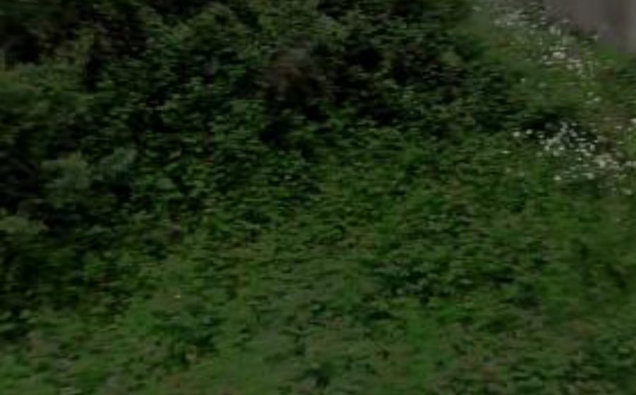 Vue du Rond-point anonyme n°28354420