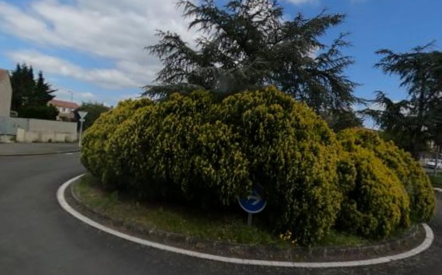 Vue du Rond-point anonyme n°28391195