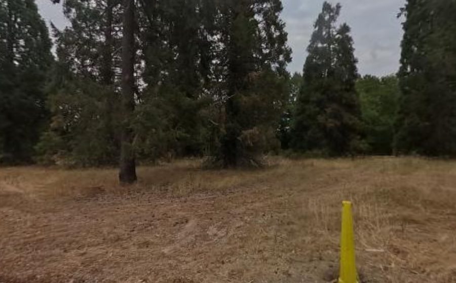 Vue du Rond-Point Allée des Sapins