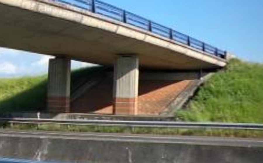 Vue du Rond-point anonyme n°29448942