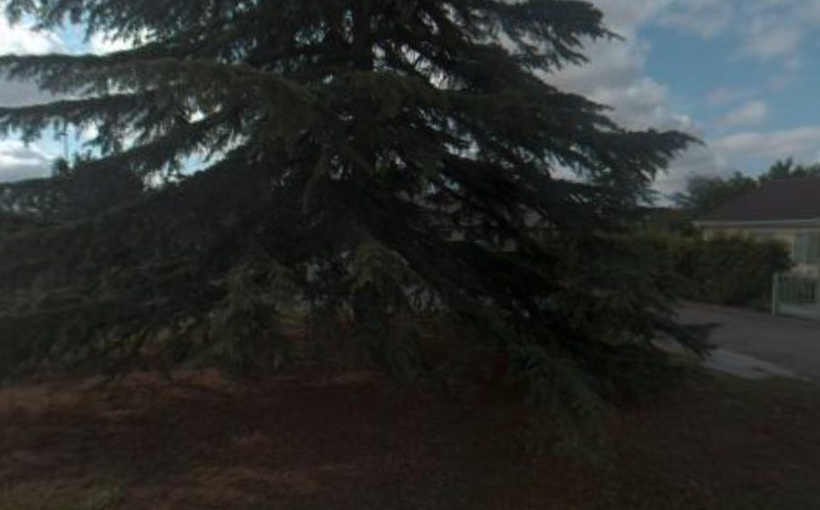 Vue du Allée des Cerisiers