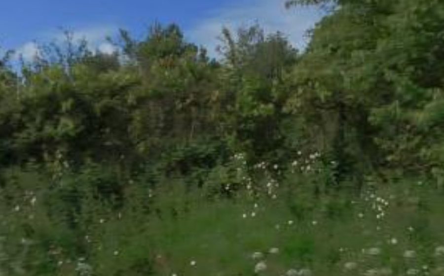 Vue du Rond-point anonyme n°320354630