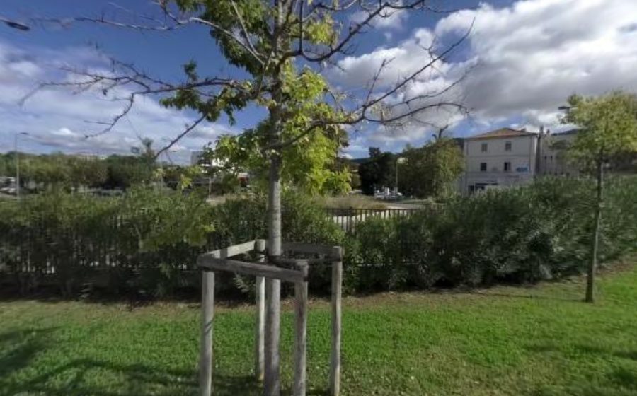 Vue du Rond-Point Charles Haddad