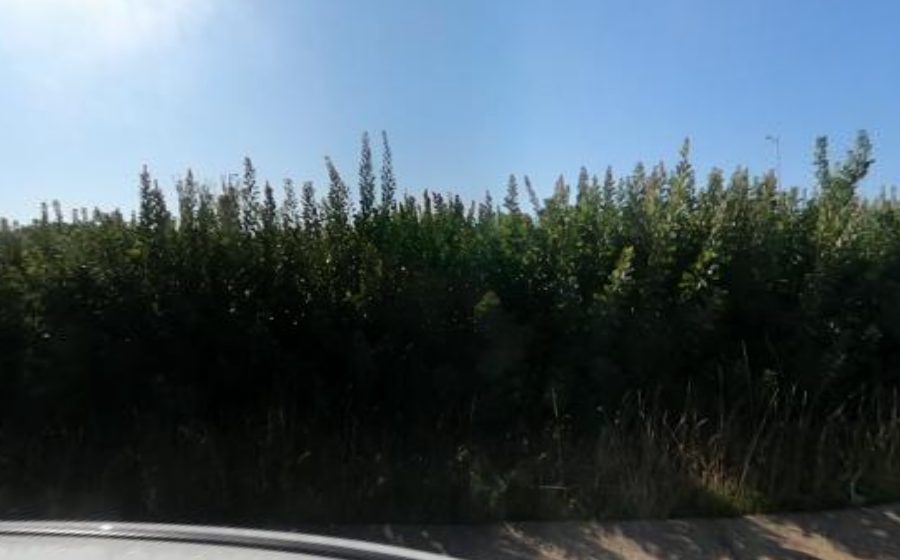 Vue du Rond-point anonyme n°32863703