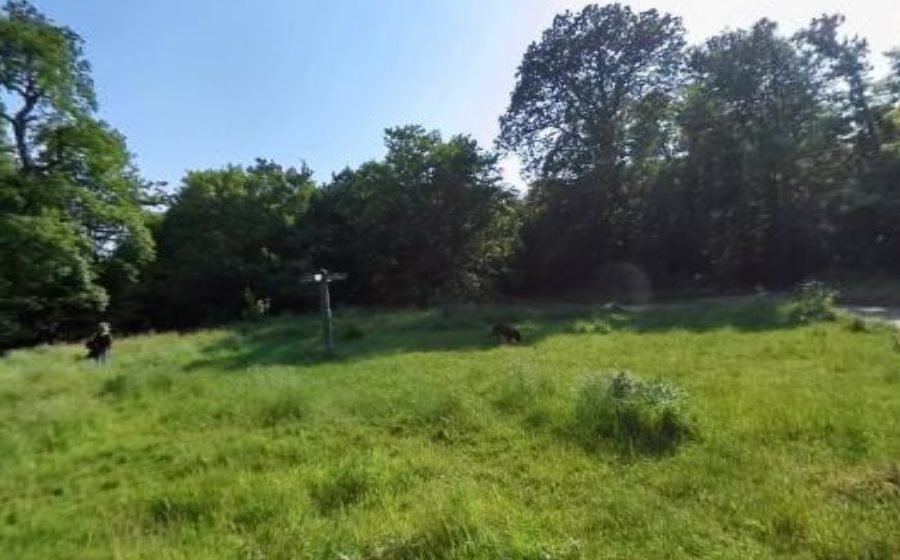 Vue du Étoile de la Porte Verte