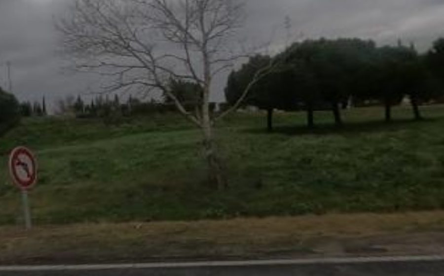 Vue du Rond-point anonyme n°33556311