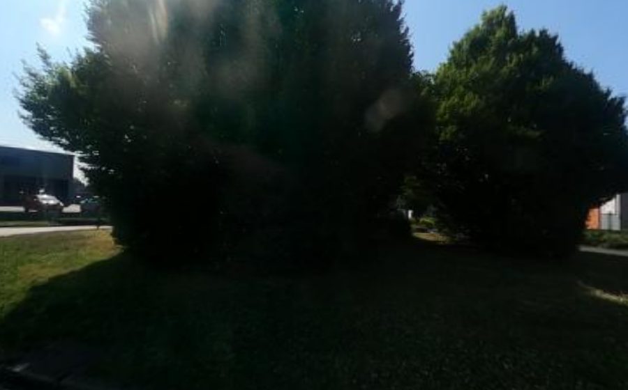 Vue du Rond-point anonyme n°33814371