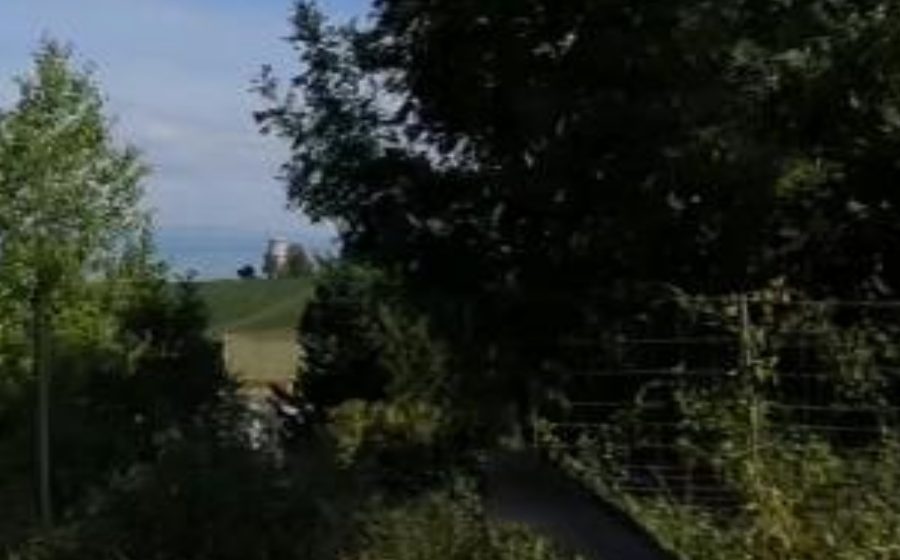 Vue du Rond-point anonyme n°340132500