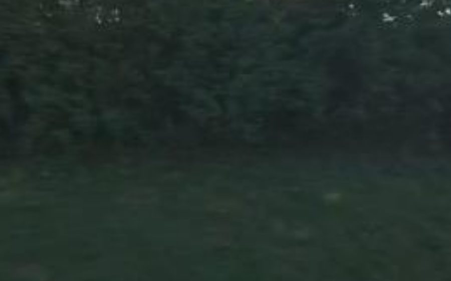 Vue du Rond-point anonyme n°35569081