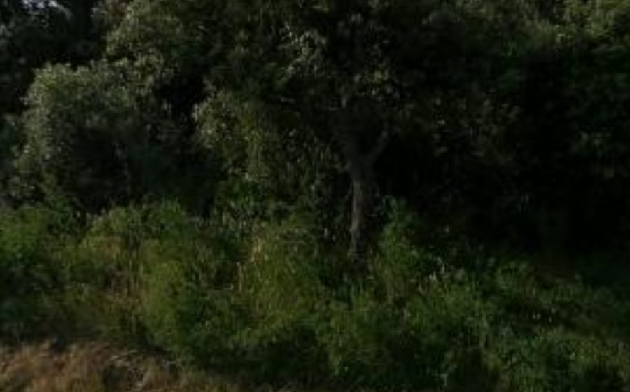 Vue du Rond-point anonyme n°372819258
