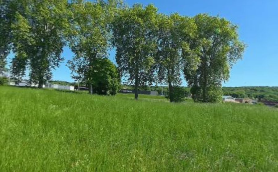 Vue du Rond-point anonyme n°37637760