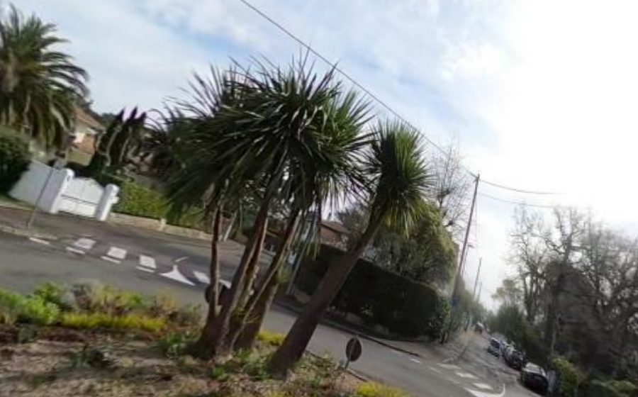 Vue du Rond-point anonyme n°37796110
