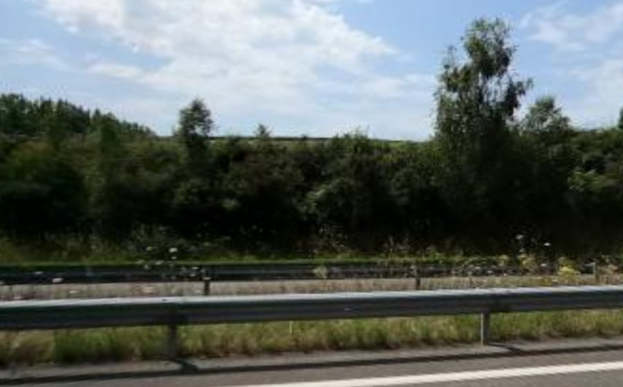 Vue du Rond-point anonyme n°38589689