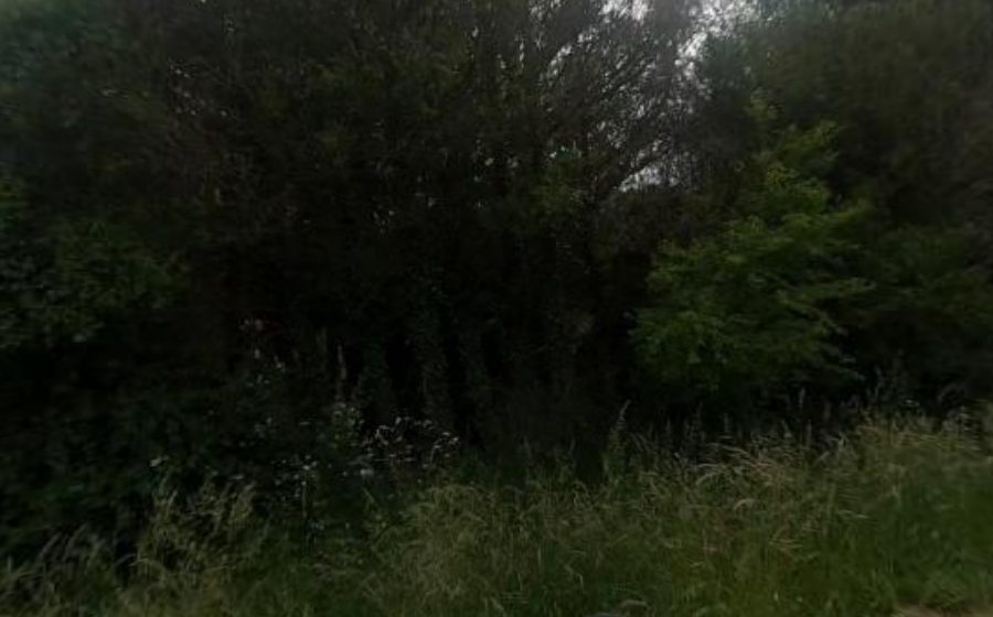 Vue du Rond-point anonyme n°38659118
