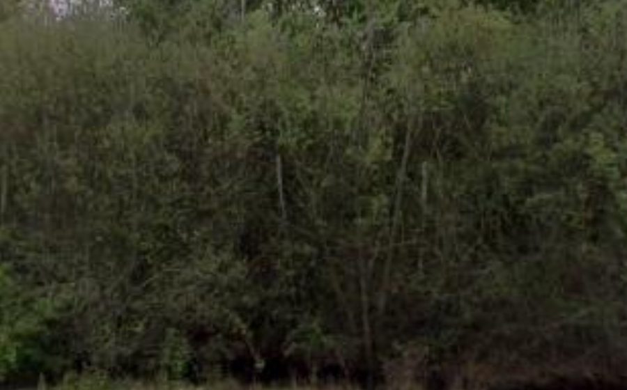 Vue du Rond-point anonyme n°38802431