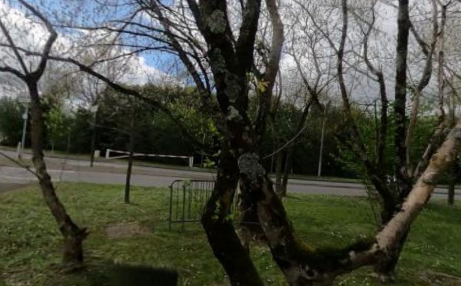Vue du Rond-point anonyme n°39381331