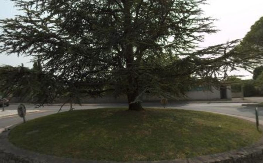 Vue du Rond-point anonyme n°39484978