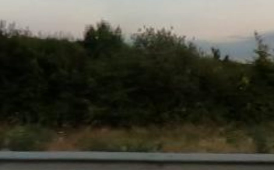 Vue du Rond-point anonyme n°39984328