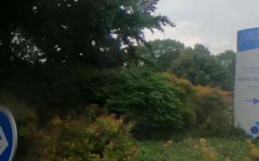 Vue du Rond-point anonyme n°410590206