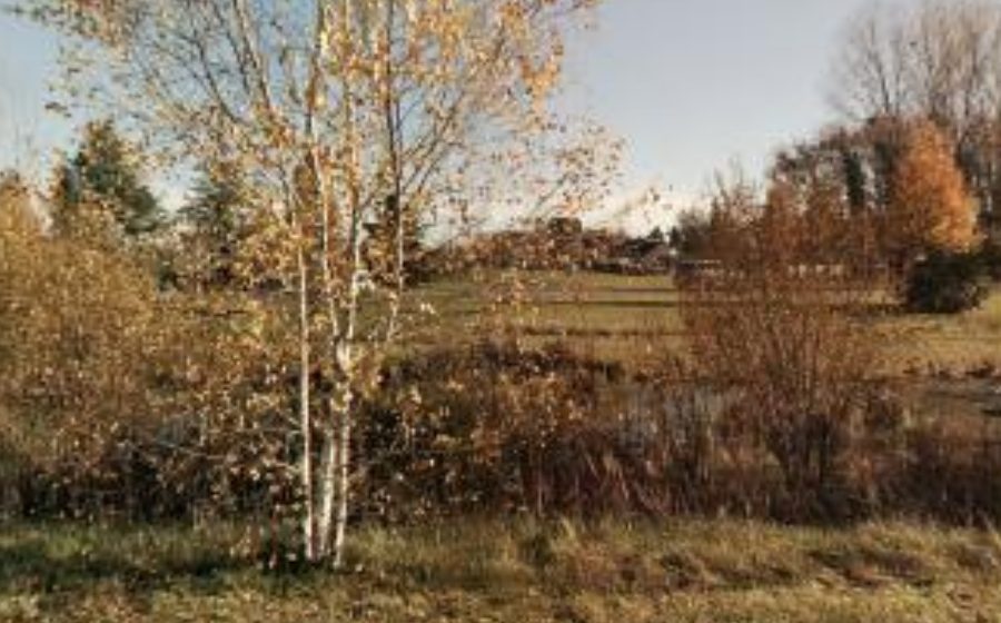 Vue du Rond-point anonyme n°426107729