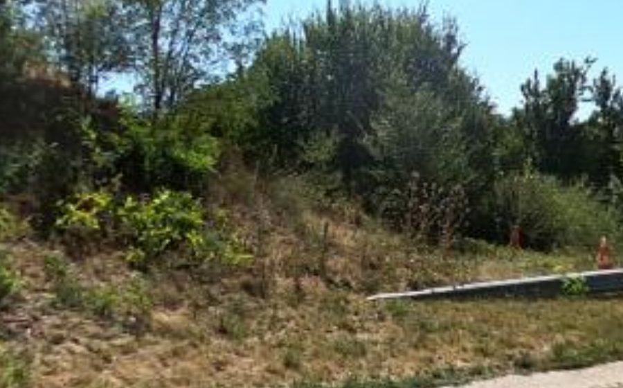 Vue du Rond-point anonyme n°42679299