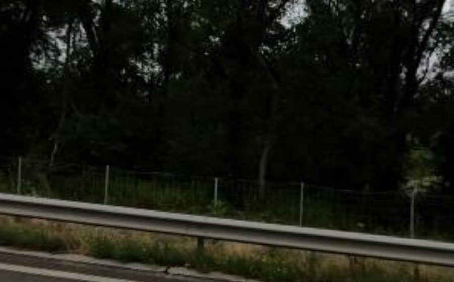 Vue du Rond-point anonyme n°42988014