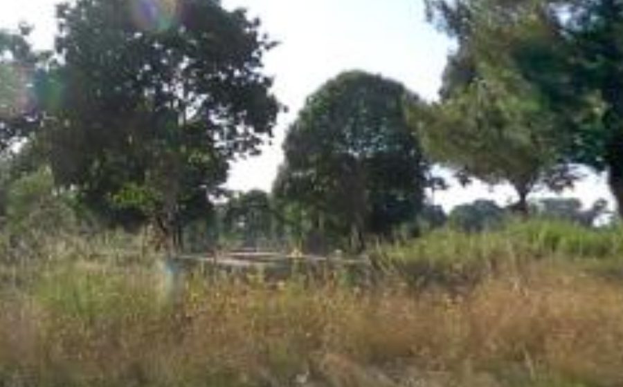 Vue du Rond-point anonyme n°43052202