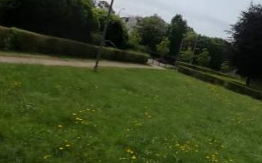 Vue du Rond-point anonyme n°435225991