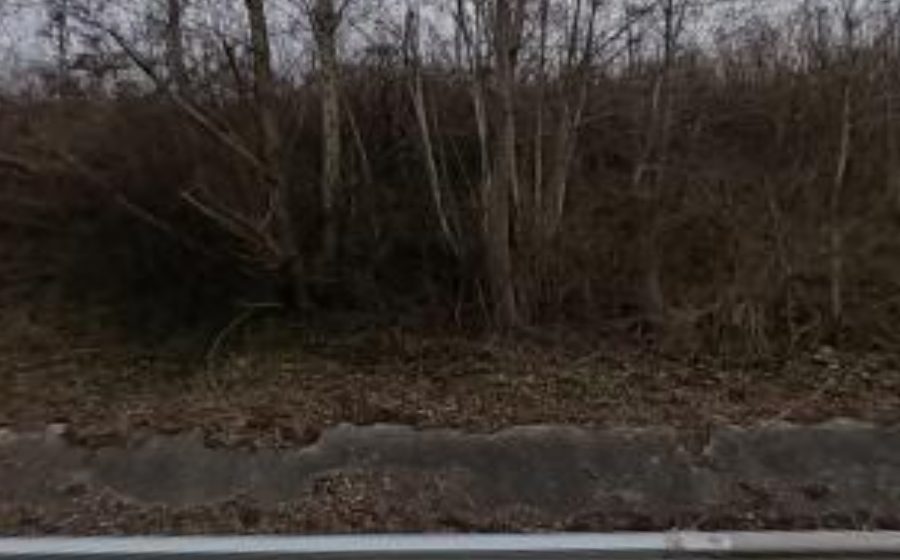 Vue du Rond-point anonyme n°4421030