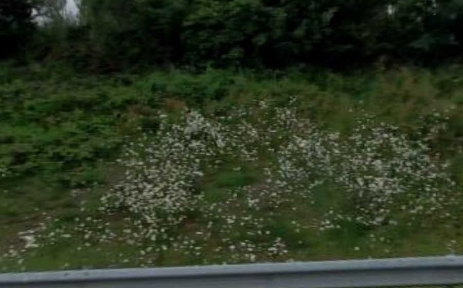Vue du Rond-point anonyme n°445382284