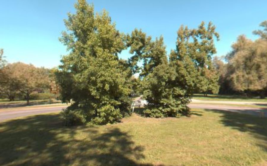 Vue du Rond-point anonyme n°4485000