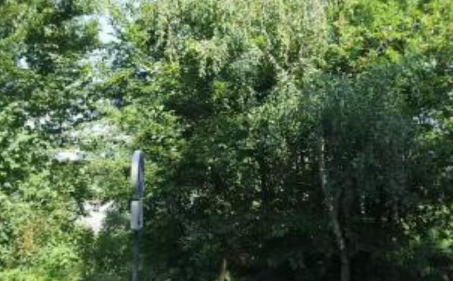 Vue du Rond-point anonyme n°451026877