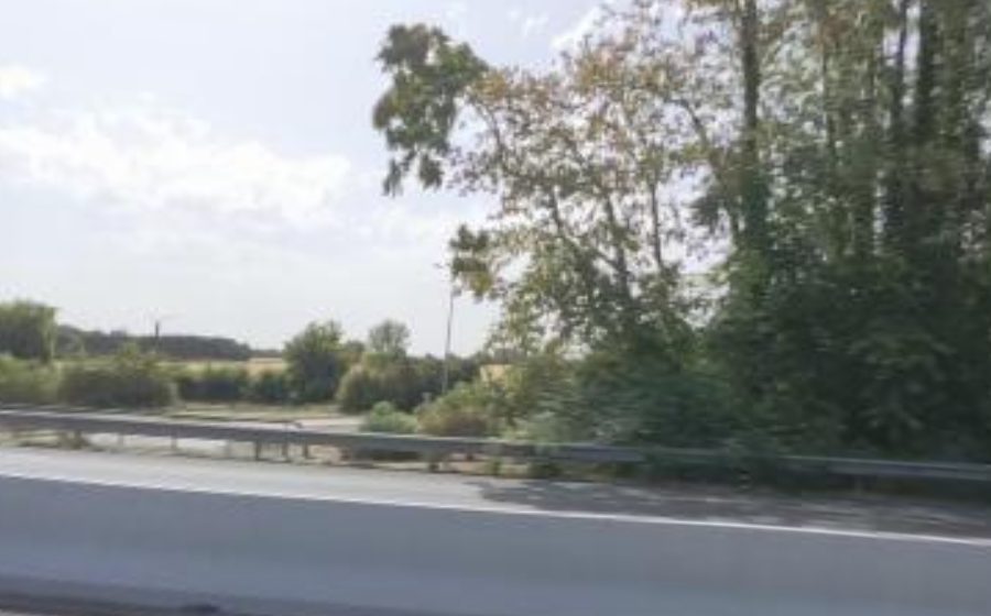 Vue du Rond-point anonyme n°46454292