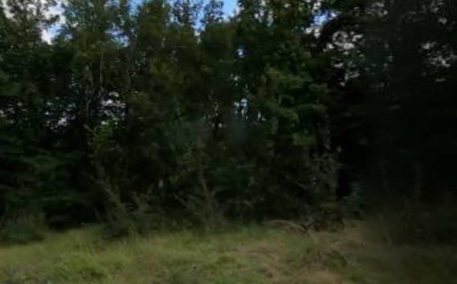 Vue du Rond-point anonyme n°46490508