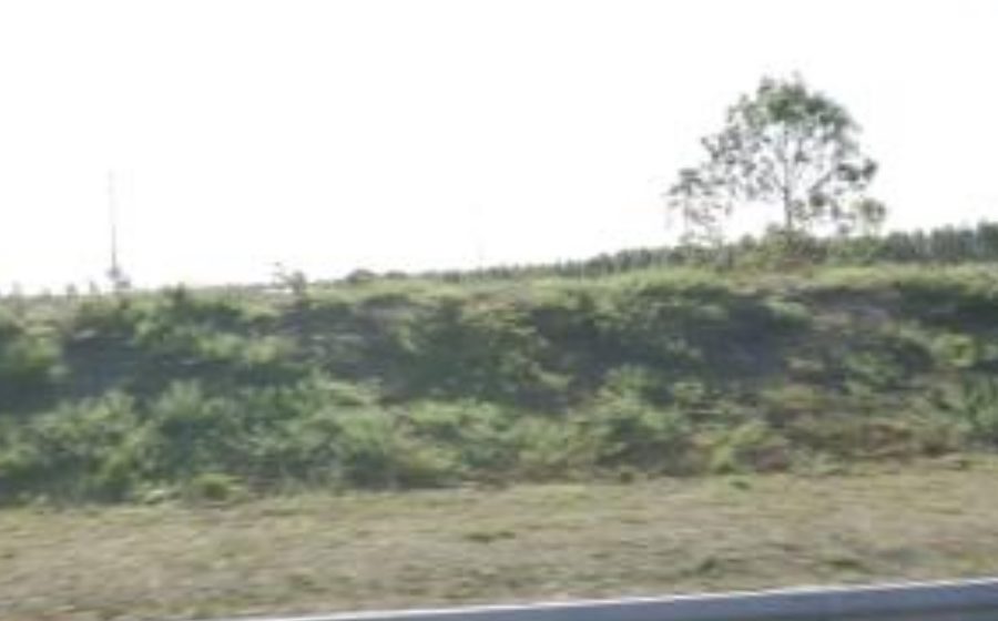 Vue du Rond-point anonyme n°473409695