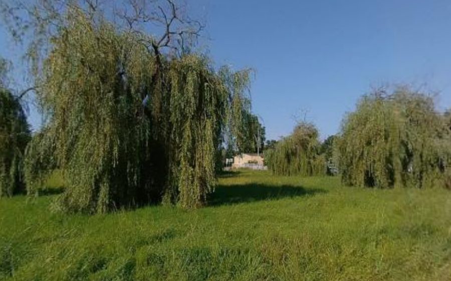 Vue du Rond-point anonyme n°4756757