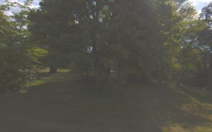 Vue du Rond-point anonyme n°4760539